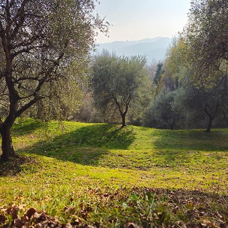 B&B Ca'Baracca Bellavista Bassano del Grappa Exteriér fotografie