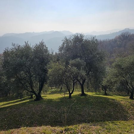 B&B Ca'Baracca Bellavista Bassano del Grappa Exteriér fotografie