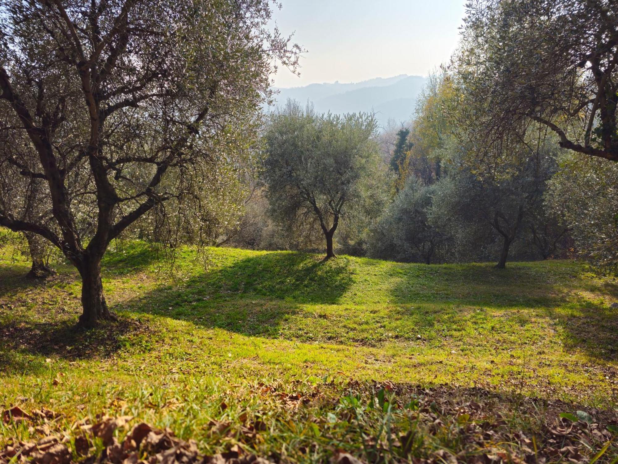 B&B Ca'Baracca Bellavista Bassano del Grappa Exteriér fotografie